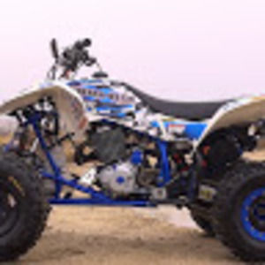 Meet your Posher, Dawson